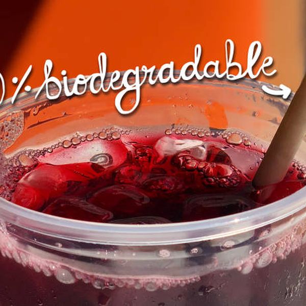 Vaso 100% biodegradable
